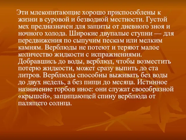 Эти млекопитающие хорошо приспособлены к жизни в суровой и безводной местности. Густой