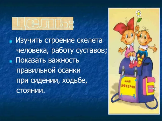 Изучить строение скелета человека, работу суставов; Показать важность правильной осанки при сидении, ходьбе, стоянии. Цель: