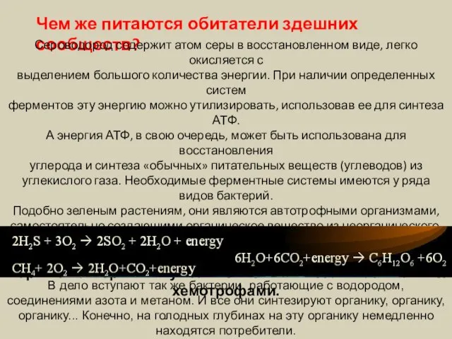 Чем же питаются обитатели здешних сообществ? Сероводород содержит атом серы в восстановленном