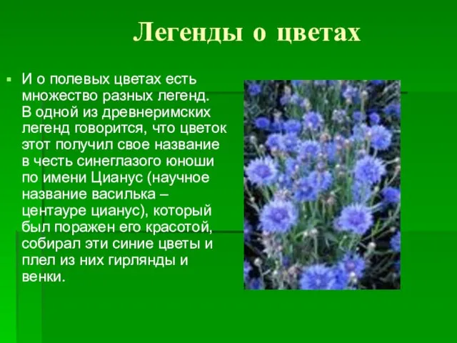 Легенды о цветах И о полевых цветах есть множество разных легенд. В