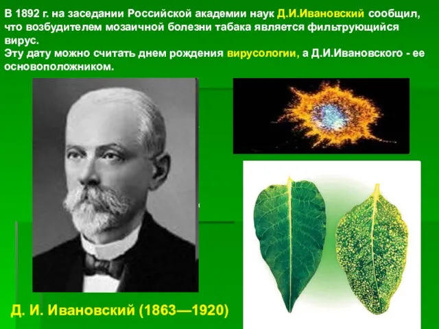 а я В 1892 г. на заседании Российской академии наук Д.И.Ивановский сообщил,