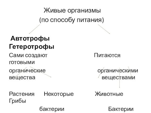 Живые организмы (по способу питания) Автотрофы Гетеротрофы Сами создают Питаются готовыми органические