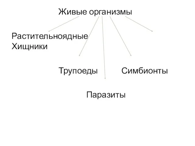 Живые организмы Растительноядные Хищники Трупоеды Симбионты Паразиты