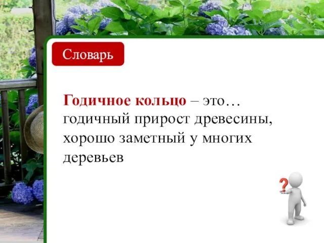 Словарь Годичное кольцо – это… годичный прирост древесины, хорошо заметный у многих деревьев