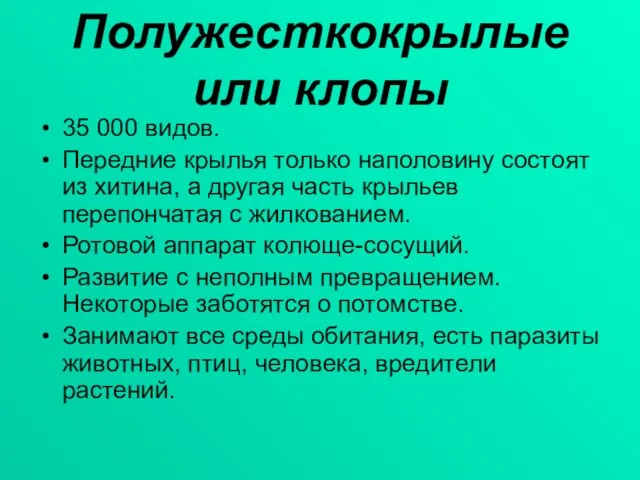 Полужесткокрылые или клопы 35 000 видов. Передние крылья только наполовину состоят из