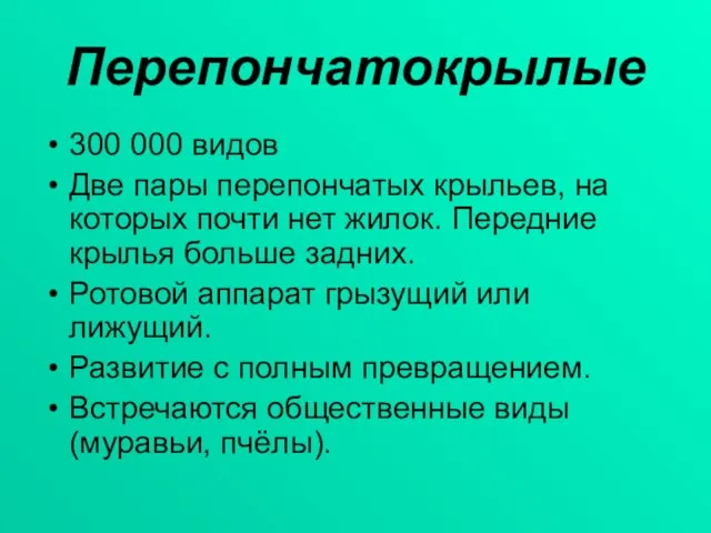 Перепончатокрылые 300 000 видов Две пары перепончатых крыльев, на которых почти нет