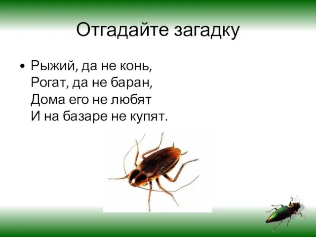 Отгадайте загадку Рыжий, да не конь, Рогат, да не баран, Дома его