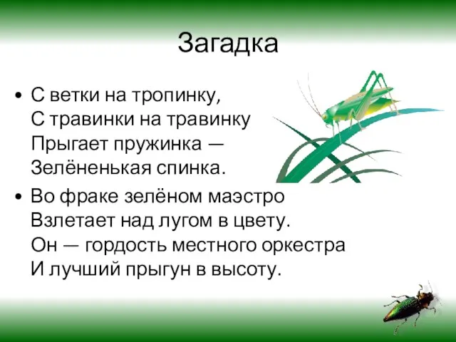 Загадка С ветки на тропинку, С травинки на травинку Прыгает пружинка —