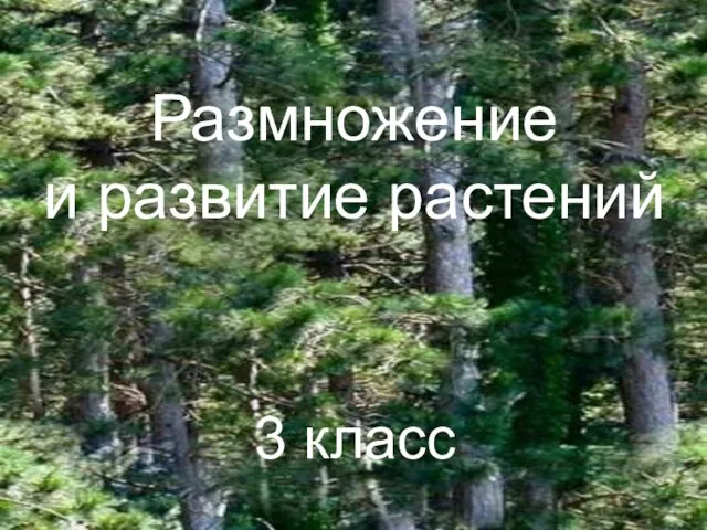 Презентация на тему Размножение и развитие растений (3 класс)