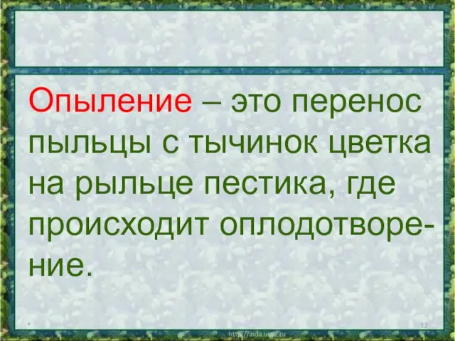 * Опыление – это перенос пыльцы с тычинок цветка на рыльце пестика, где происходит оплодотворе- ние.