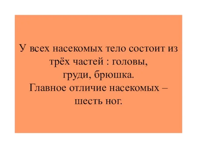 У всех насекомых тело состоит из трёх частей : головы, груди, брюшка.