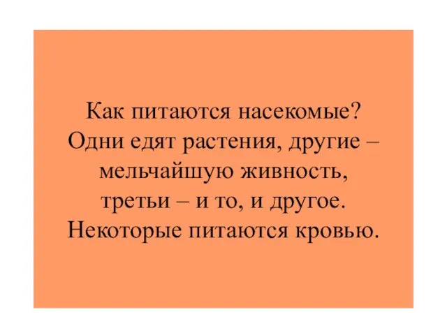 Как питаются насекомые? Одни едят растения, другие – мельчайшую живность, третьи –