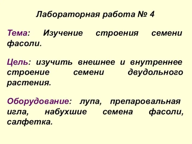 Лабораторная работа № 4 Тема: Изучение строения семени фасоли. Цель: изучить внешнее