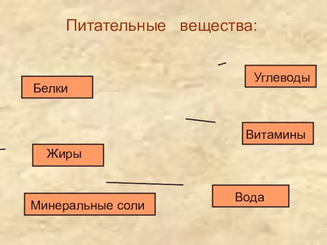 Питательные вещества: Белки Жиры Вода Углеводы Витамины Минеральные соли