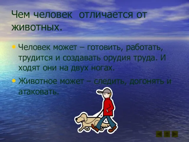 Чем человек отличается от животных. Человек может – готовить, работать, трудится и