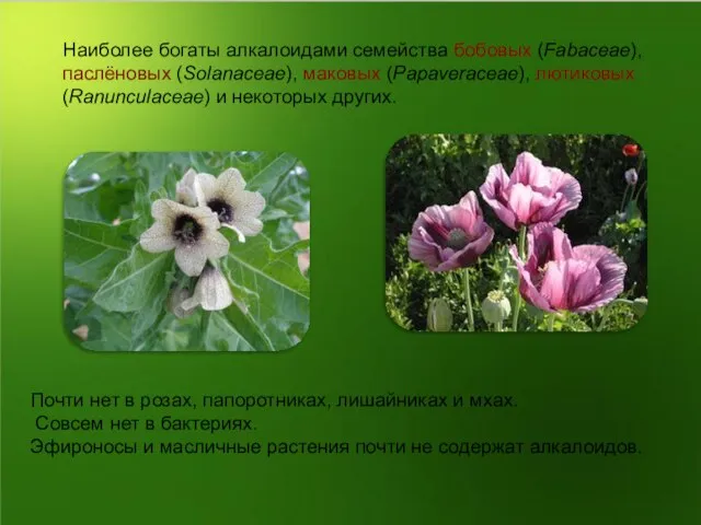 Наиболее богаты алкалоидами семейства бобовых (Fabaceae), паслёновых (Solanaceae), маковых (Papaveraceae), лютиковых (Ranunculaceae)