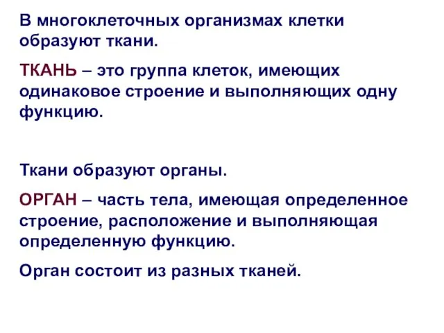 В многоклеточных организмах клетки образуют ткани. ТКАНЬ – это группа клеток, имеющих