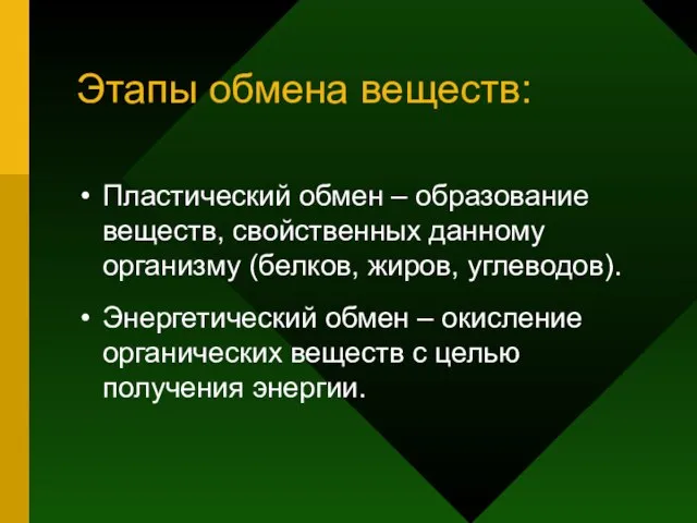 Этапы обмена веществ: Пластический обмен – образование веществ, свойственных данному организму (белков,