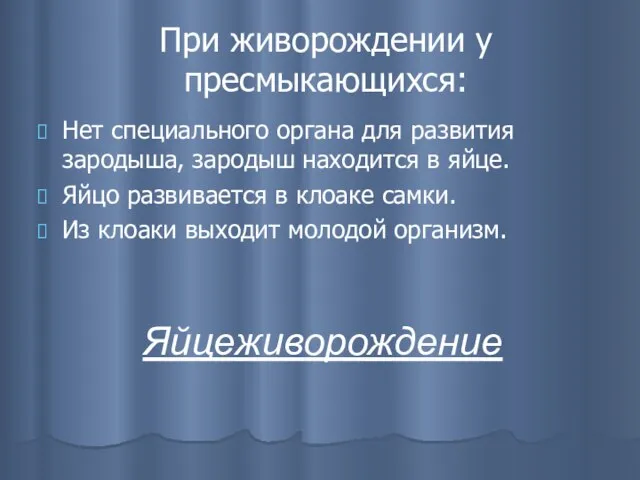 При живорождении у пресмыкающихся: Нет специального органа для развития зародыша, зародыш находится