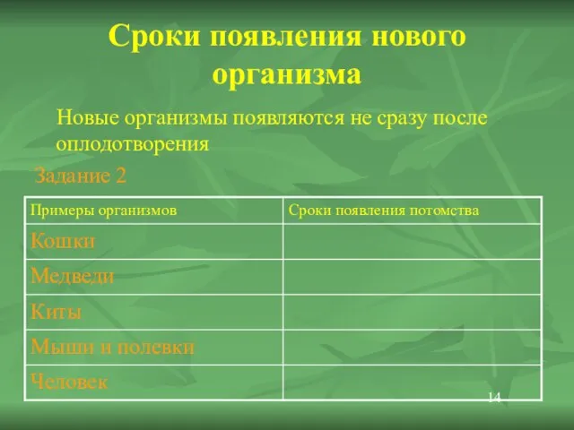 Сроки появления нового организма Новые организмы появляются не сразу после оплодотворения Задание 2 14