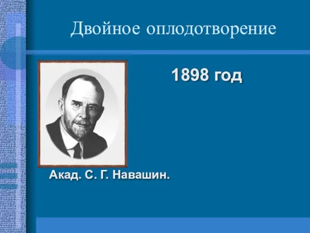 Двойное оплодотворение 1898 год Акад. С. Г. Навашин.