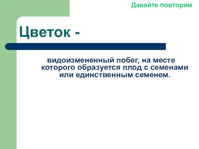 Цветок - видоизмененный побег, на месте которого образуется плод с семенами или единственным семенем. Давайте повторим