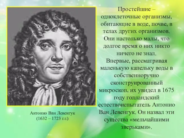 Простейшие – одноклеточные организмы, обитающие в воде, почве, в телах других организмов.