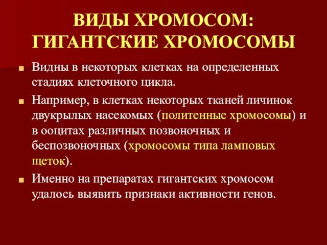 ВИДЫ ХРОМОСОМ: ГИГАНТСКИЕ ХРОМОСОМЫ Видны в некоторых клетках на определенных стадиях клеточного