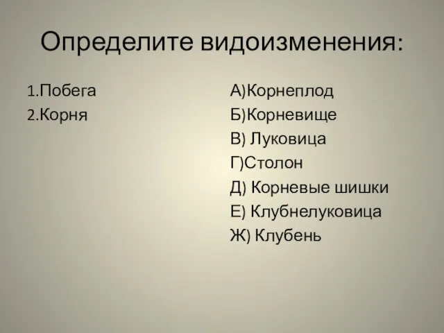 Определите видоизменения: 1.Побега 2.Корня А)Корнеплод Б)Корневище В) Луковица Г)Столон Д) Корневые шишки Е) Клубнелуковица Ж) Клубень