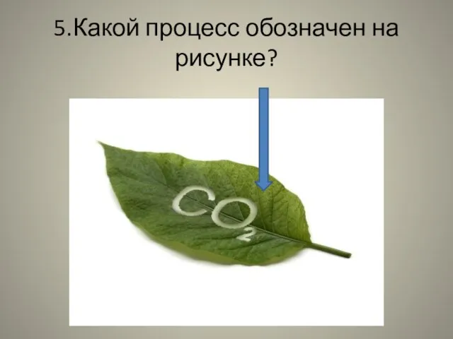 5.Какой процесс обозначен на рисунке?