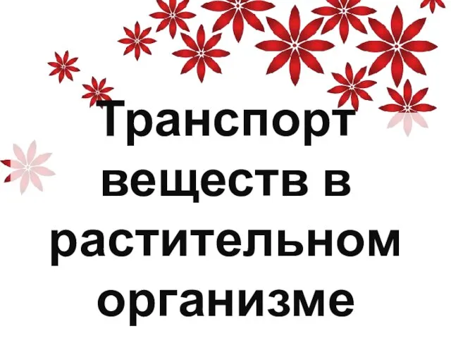 Презентация на тему Транспорт веществ в растительном организме