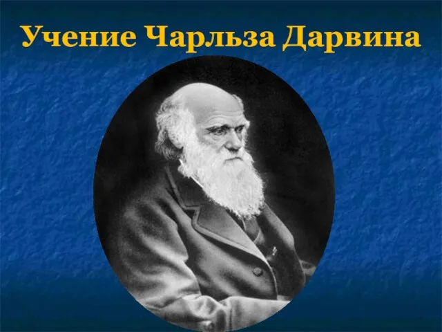 Презентация на тему Учение Чарльза Дарвина