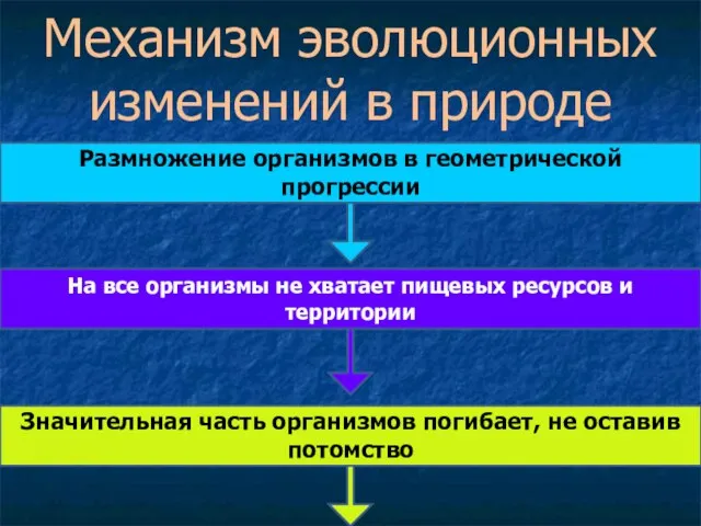 Механизм эволюционных изменений в природе Размножение организмов в геометрической прогрессии На все