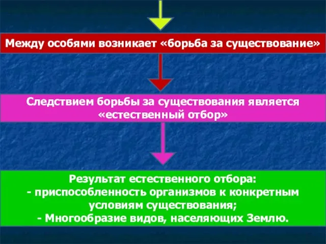 Между особями возникает «борьба за существование» Следствием борьбы за существования является «естественный