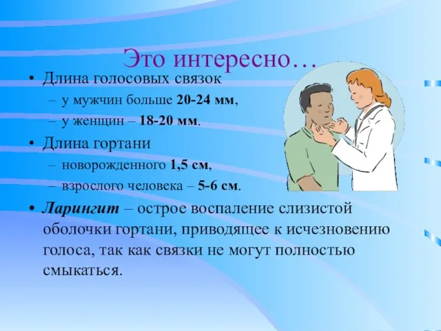 Это интересно… Длина голосовых связок у мужчин больше 20-24 мм, у женщин