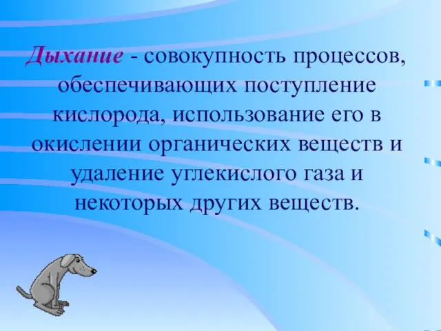 Дыхание - совокупность процессов, обеспечивающих поступление кислорода, использование его в окислении органических