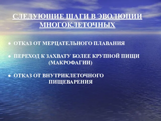 СЛЕДУЮЩИЕ ШАГИ В ЭВОЛЮЦИИ МНОГОКЛЕТОЧНЫХ ОТКАЗ ОТ МЕРЦАТЕЛЬНОГО ПЛАВАНИЯ ПЕРЕХОД К ЗАХВАТУ