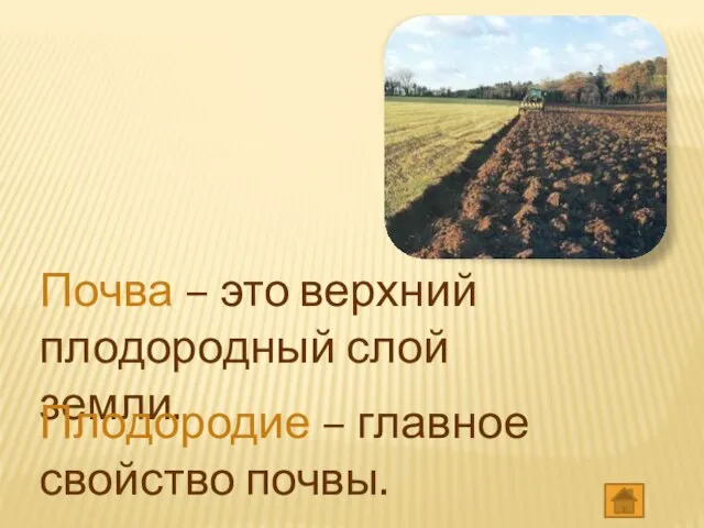 Почва – это верхний плодородный слой земли. Плодородие – главное свойство почвы.