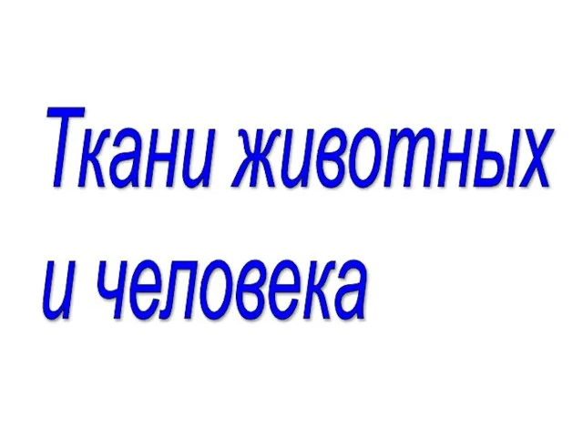 Презентация на тему Ткани животных и человека