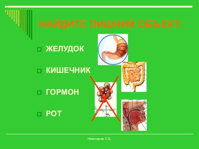 ЖЕЛУДОК КИШЕЧНИК ГОРМОН РОТ НАЙДИТЕ ЛИШНИЙ ОБЪЕКТ:: Николаева С.Б.