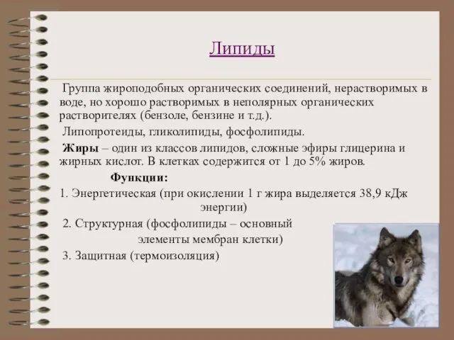 Липиды Группа жироподобных органических соединений, нерастворимых в воде, но хорошо растворимых в