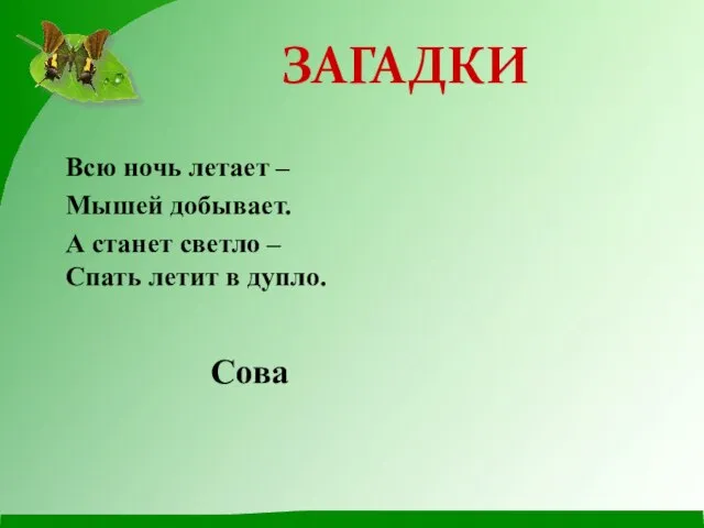 Всю ночь летает – Мышей добывает. А станет светло – Спать летит в дупло. Сова ЗАГАДКИ