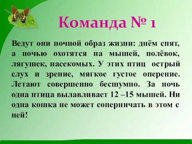 Ведут они ночной образ жизни: днём спят, а ночью охотятся на мышей,