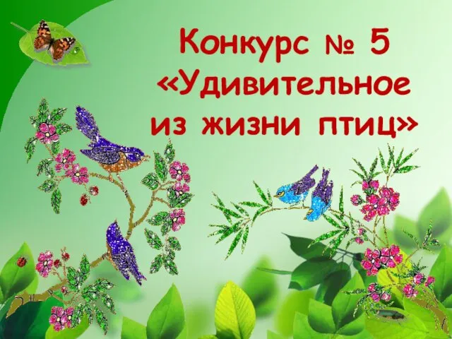 Конкурс № 5 «Удивительное из жизни птиц»