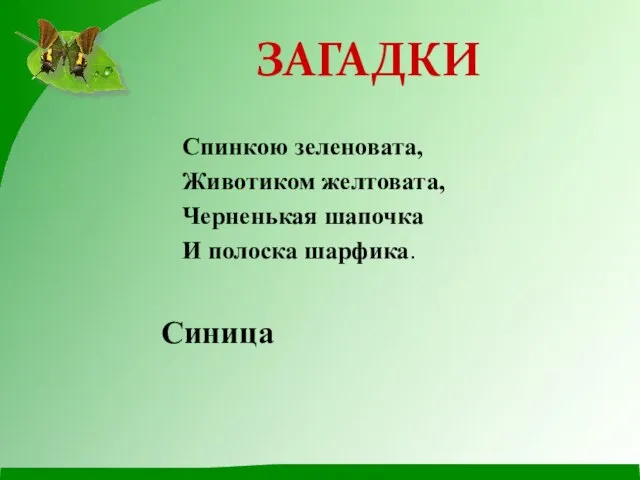 Спинкою зеленовата, Животиком желтовата, Черненькая шапочка И полоска шарфика. ЗАГАДКИ Синица