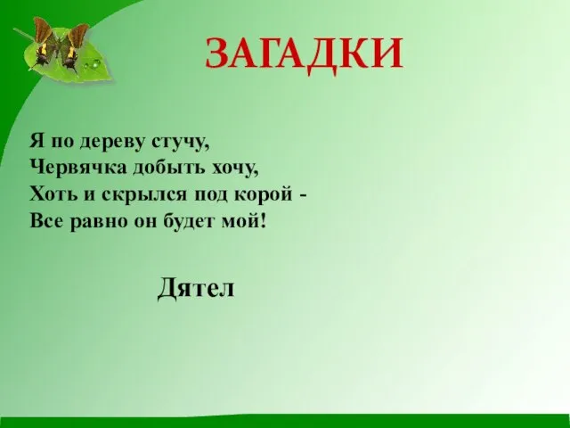 Я по дереву стучу, Червячка добыть хочу, Хоть и скрылся под корой