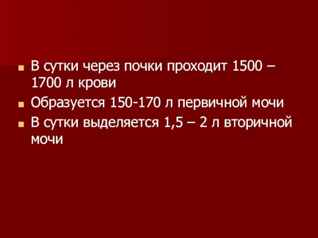 В сутки через почки проходит 1500 – 1700 л крови Образуется 150-170