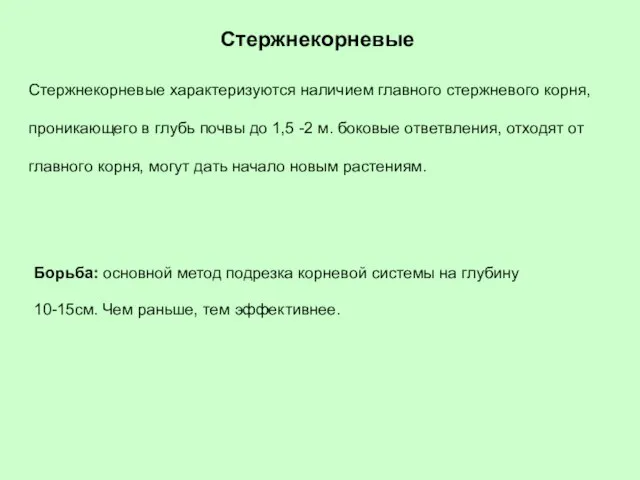 Стержнекорневые характеризуются наличием главного стержневого корня, проникающего в глубь почвы до 1,5