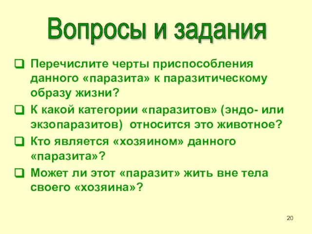 Перечислите черты приспособления данного «паразита» к паразитическому образу жизни? К какой категории