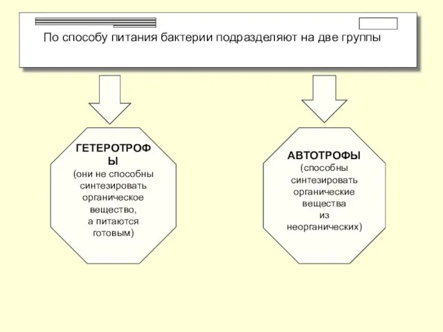 По способу питания бактерии подразделяют на две группы ГЕТЕРОТРОФЫ (они не способны